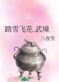 踏雪飞花.武境