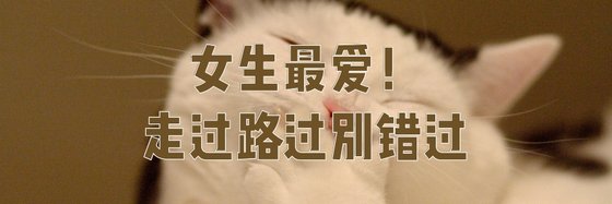 女生最爱！走过路过别错过