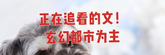 正在追看的文！玄幻都市为主